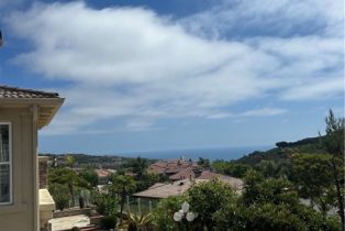 Residential Lease, 6 SABLE SANDS, Newport Coast, CA  Newport Coast, CA 92657