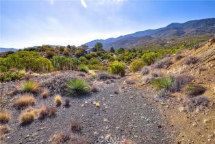 Land, 65200 St Pierre RD, Mountain Center, CA  Mountain Center, CA 92561