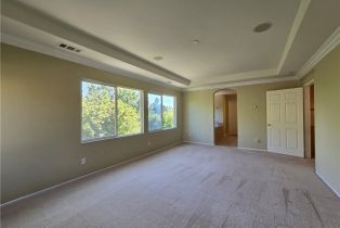 Single Family Residence, 20663 Azalea Terrace rd, Riverside, CA 92508 - 13