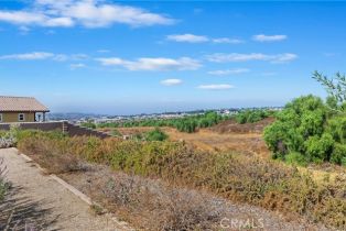 Single Family Residence, 16682 Nandina ave, Riverside, CA 92504 - 61