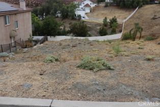 , 22871 Giant Fir, Canyon Lake, CA 92587 - 4