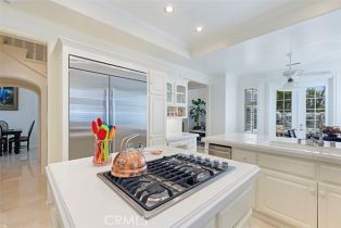 Single Family Residence, 97 Ritz Cove dr, Dana Point, CA 92629 - 14