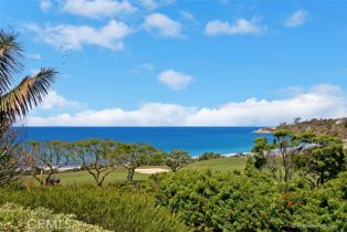 Single Family Residence, 97 Ritz Cove dr, Dana Point, CA 92629 - 43