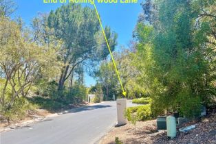 , 27591 Rolling Wood ln, San Juan Capistrano, CA 92675 - 13