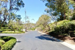 , 27591 Rolling Wood ln, San Juan Capistrano, CA 92675 - 14