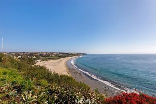 Single Family Residence, 57 Monarch Bay dr, Dana Point, CA 92629 - 40