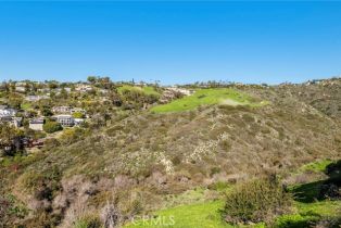 , 1477 Cerritos, Laguna Beach, CA 92651 - 14