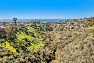 , 1477 Cerritos, Laguna Beach, CA 92651 - 17