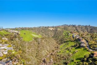 , 1477 Cerritos, Laguna Beach, CA 92651 - 20