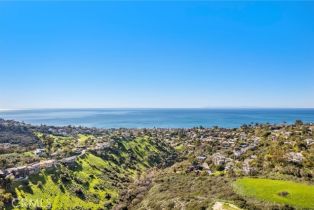 , 1477 Cerritos, Laguna Beach, CA 92651 - 22