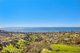 , 1477 Cerritos, Laguna Beach, CA 92651 - 23