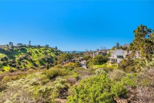 , 1477 Cerritos, Laguna Beach, CA 92651 - 6