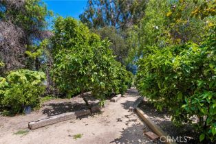 Single Family Residence, 2342 Mesa dr, Newport Beach, CA 92660 - 57