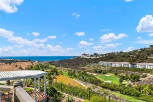 Single Family Residence, 7 San Raphael, Dana Point, CA 92629 - 24