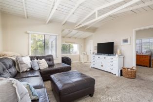 Single Family Residence, 217 WAVE st, Laguna Beach, CA 92651 - 4