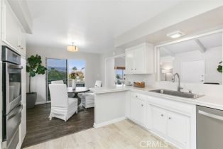 Residential Income, 283 Dolphin way, Laguna Beach, CA 92651 - 20