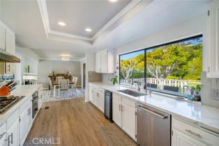 Single Family Residence, 32401 Seven Seas dr, Dana Point, CA 92629 - 20