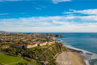 Single Family Residence, 60 RITZ COVE, Dana Point, CA 92629 - 72