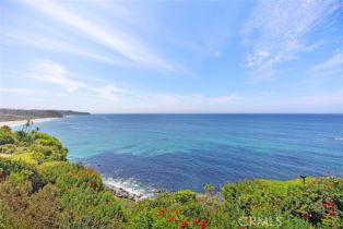 Single Family Residence, 67 Monarch Bay dr, Dana Point, CA 92629 - 41