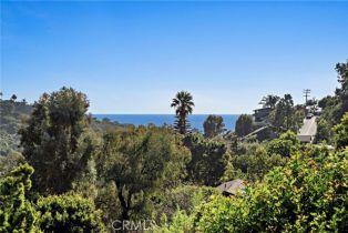 Single Family Residence, 1362 Morningside dr, Laguna Beach, CA 92651 - 39