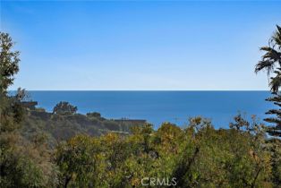 Single Family Residence, 1362 Morningside dr, Laguna Beach, CA 92651 - 40