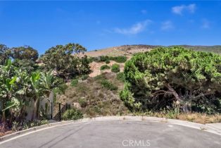 , 455 Bonvue, Laguna Beach, CA 92651 - 8