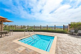 Condominium, 68 Corniche dr, Dana Point, CA 92629 - 45