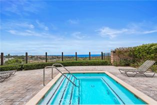 Condominium, 68 Corniche dr, Dana Point, CA 92629 - 52