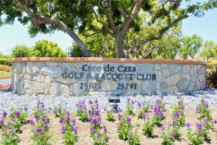 Single Family Residence, 25 Princeton trl, Coto De Caza, CA 92679 - 46