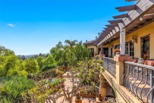 Single Family Residence, 31301 Aguacate rd, San Juan Capistrano, CA 92675 - 16