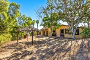 Single Family Residence, 31301 Aguacate rd, San Juan Capistrano, CA 92675 - 40