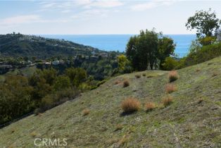 , 1950 Upper Rim Rock rd, Laguna Beach, CA 92651 - 14