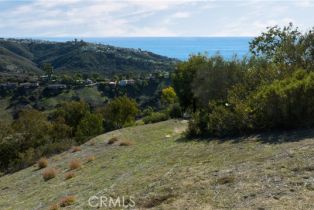 , 1950 Upper Rim Rock rd, Laguna Beach, CA 92651 - 2