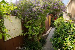 , 464 Bent st, Laguna Beach, CA 92651 - 22