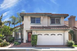 Residential Lease, 24812 Cutter, Laguna Niguel, CA  Laguna Niguel, CA 92677