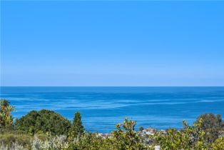 Single Family Residence, 901 Summit dr, Laguna Beach, CA 92651 - 36