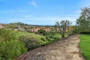 Condominium, 10 Terrace cir, Laguna Niguel, CA 92677 - 35