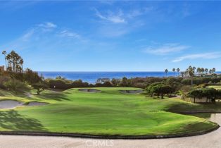 Condominium, 51 Monarch Beach Resort, Dana Point, CA 92629 - 38