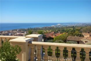 Single Family Residence, 9 Pelicans dr, Newport Coast, CA 92657 - 16