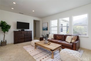 Single Family Residence, 22 Calle Aveituna, San Clemente, CA 92673 - 23