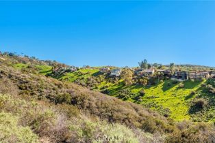 , 1477 Cerritos, Laguna Beach, CA 92651 - 10