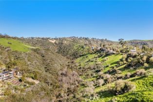 , 1477 Cerritos, Laguna Beach, CA 92651 - 19