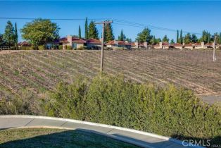 Single Family Residence, 40970 Anza rd, Temecula, CA 92592 - 59