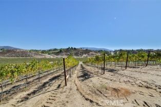 , 0 Valle Toscana ct, Temecula, CA 92592 - 42