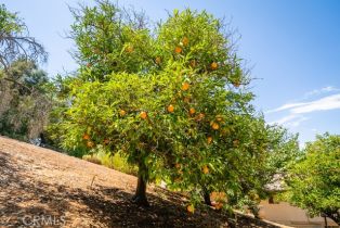 Single Family Residence, 13600 Fairlane rd, Valley Center, CA 92082 - 59