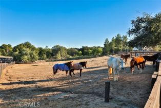 Single Family Residence, 41565 Avenida Conchita, Murrieta, CA 92562 - 54