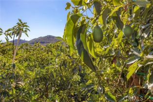 Single Family Residence, 305 Rainbow Crest rd, Fallbrook, CA 92028 - 59