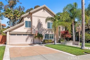 Single Family Residence, 1516 Tzena way, Encinitas, CA 92024 - 8