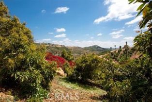 Single Family Residence, 3786 Foxglove ln, Fallbrook, CA 92028 - 33