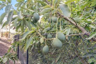 Single Family Residence, 43650 La Cruz dr, Temecula, CA 92590 - 31